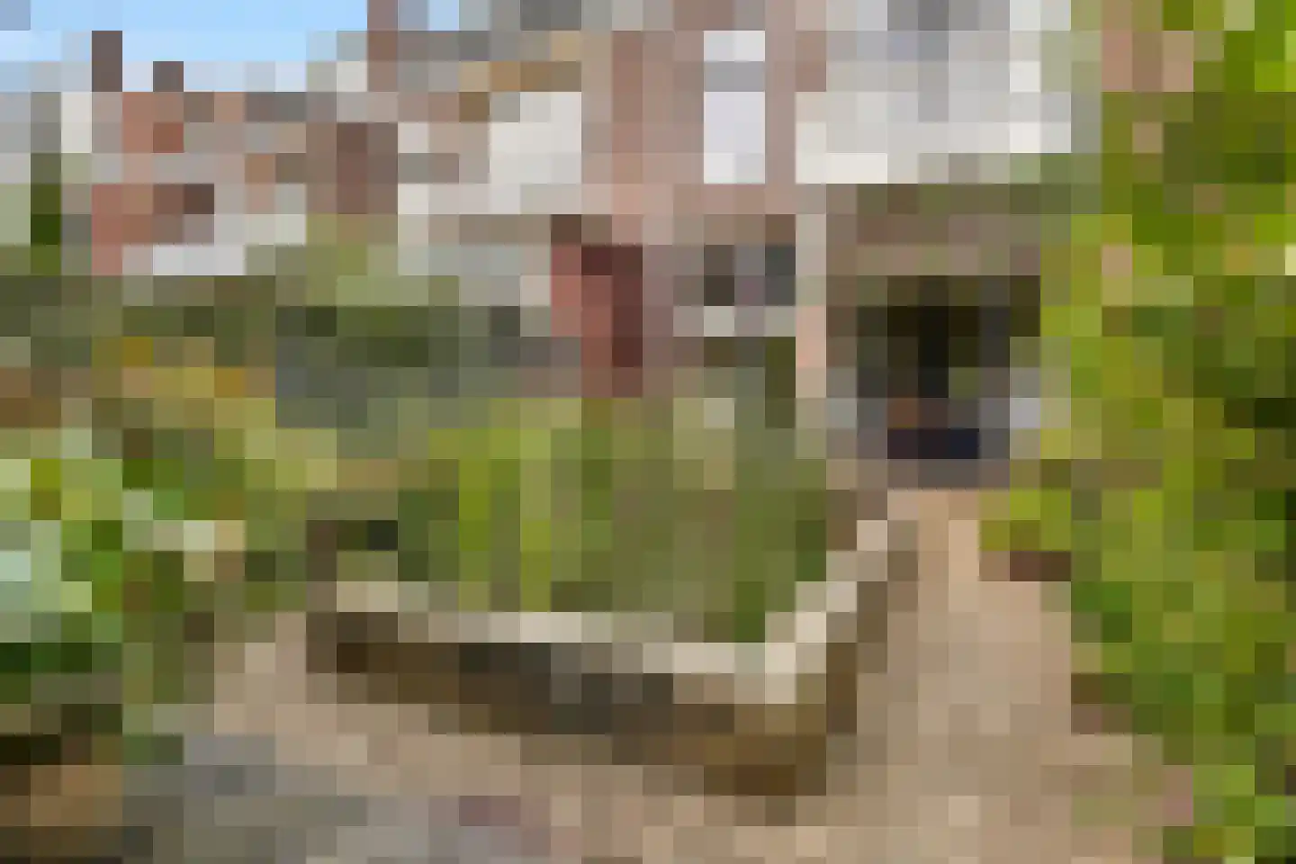 Rusthoekstraat 17 Den Haag thumbnail 34