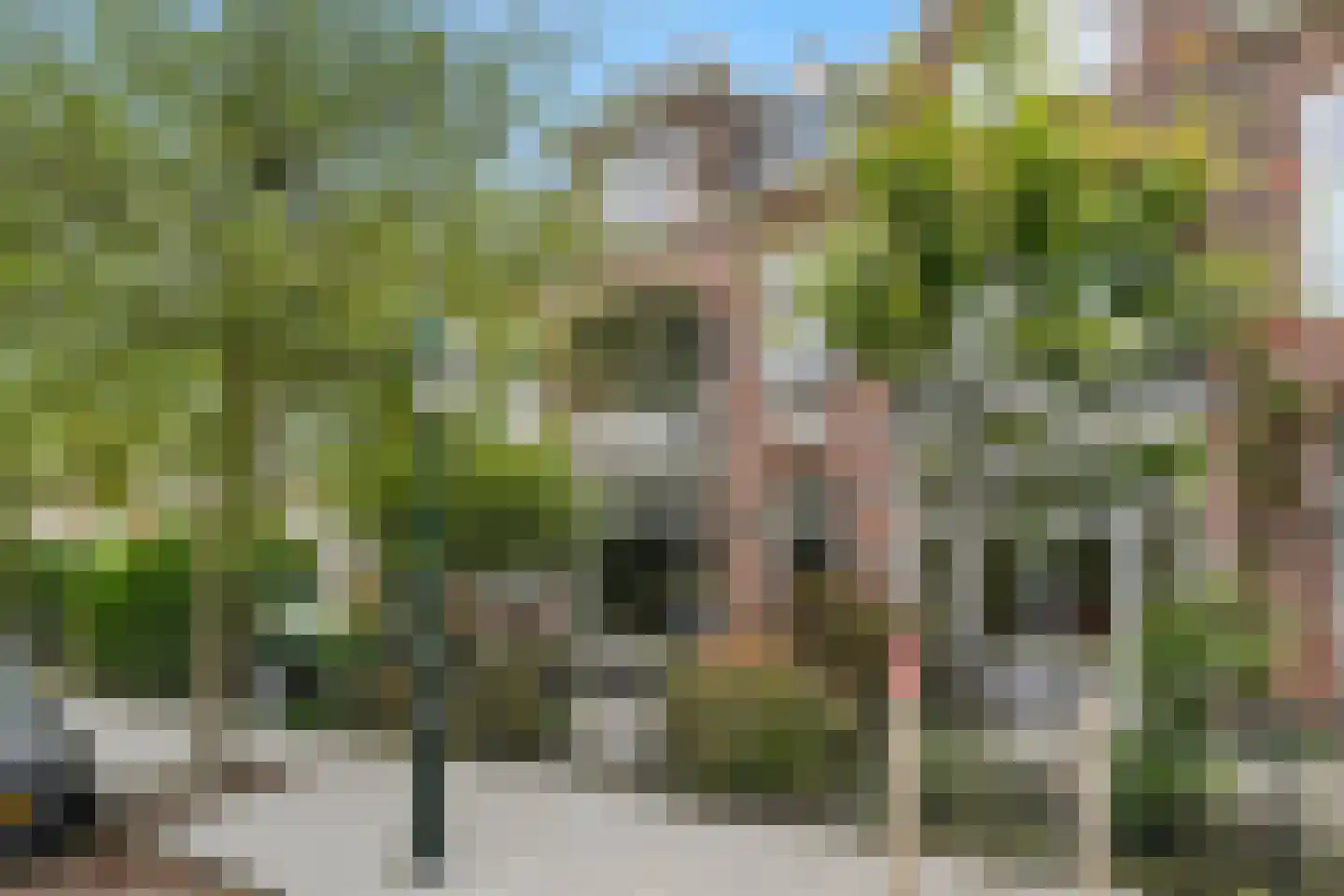 Rusthoekstraat 17 Den Haag thumbnail 67