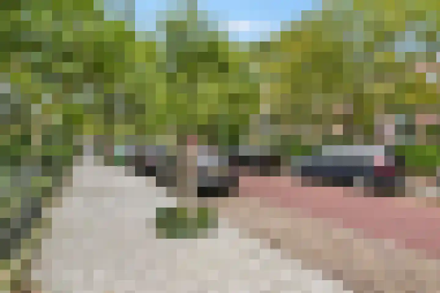 Rusthoekstraat 17 Den Haag thumbnail 68