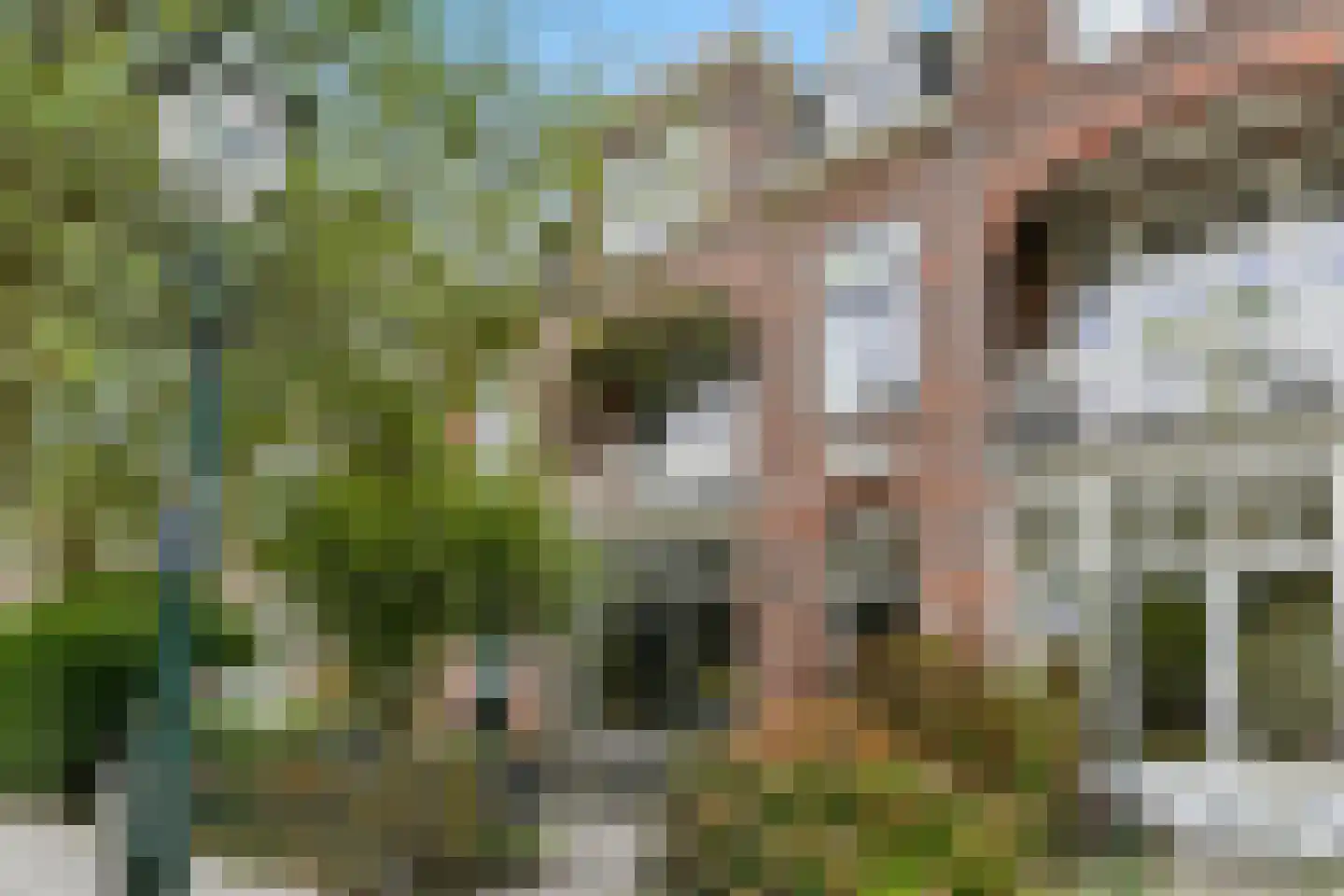 Rusthoekstraat 17 Den Haag thumbnail 8