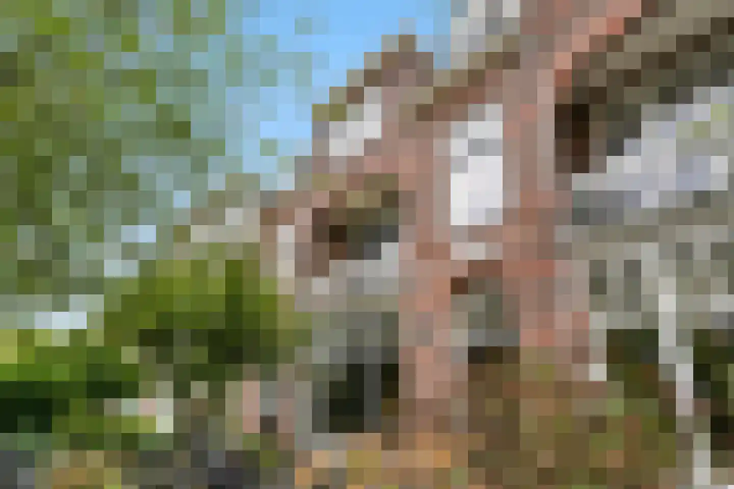 Rusthoekstraat 17 Den Haag thumbnail 9