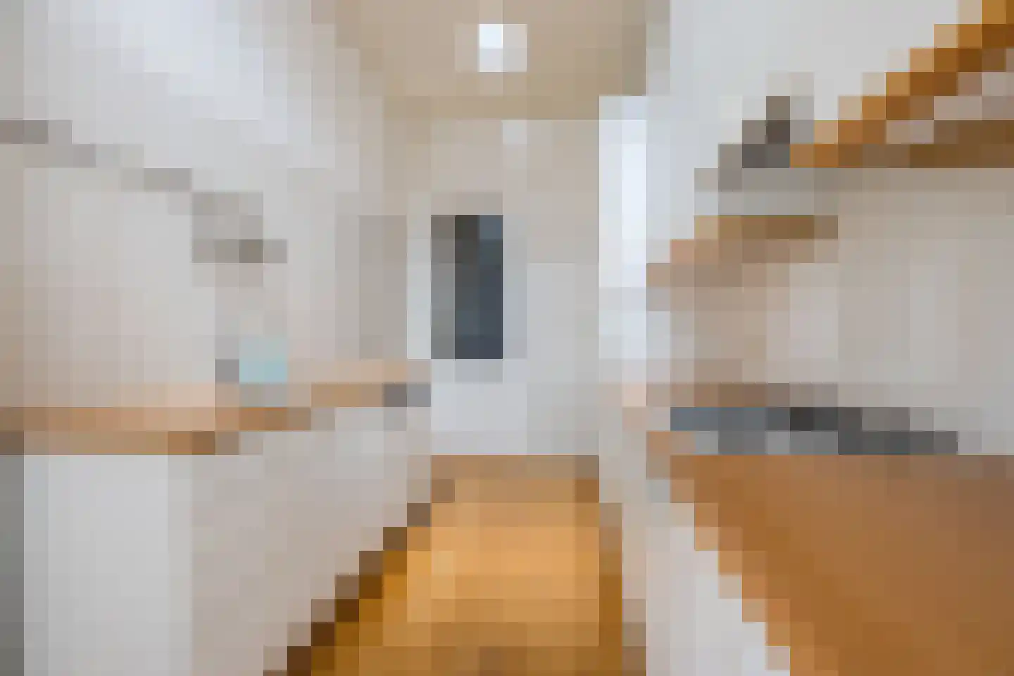 Rusthoekstraat 21 Den Haag thumbnail 13