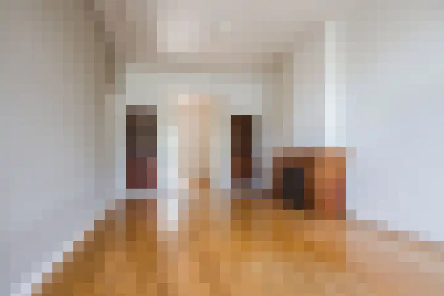 Rusthoekstraat 21 Den Haag thumbnail 5
