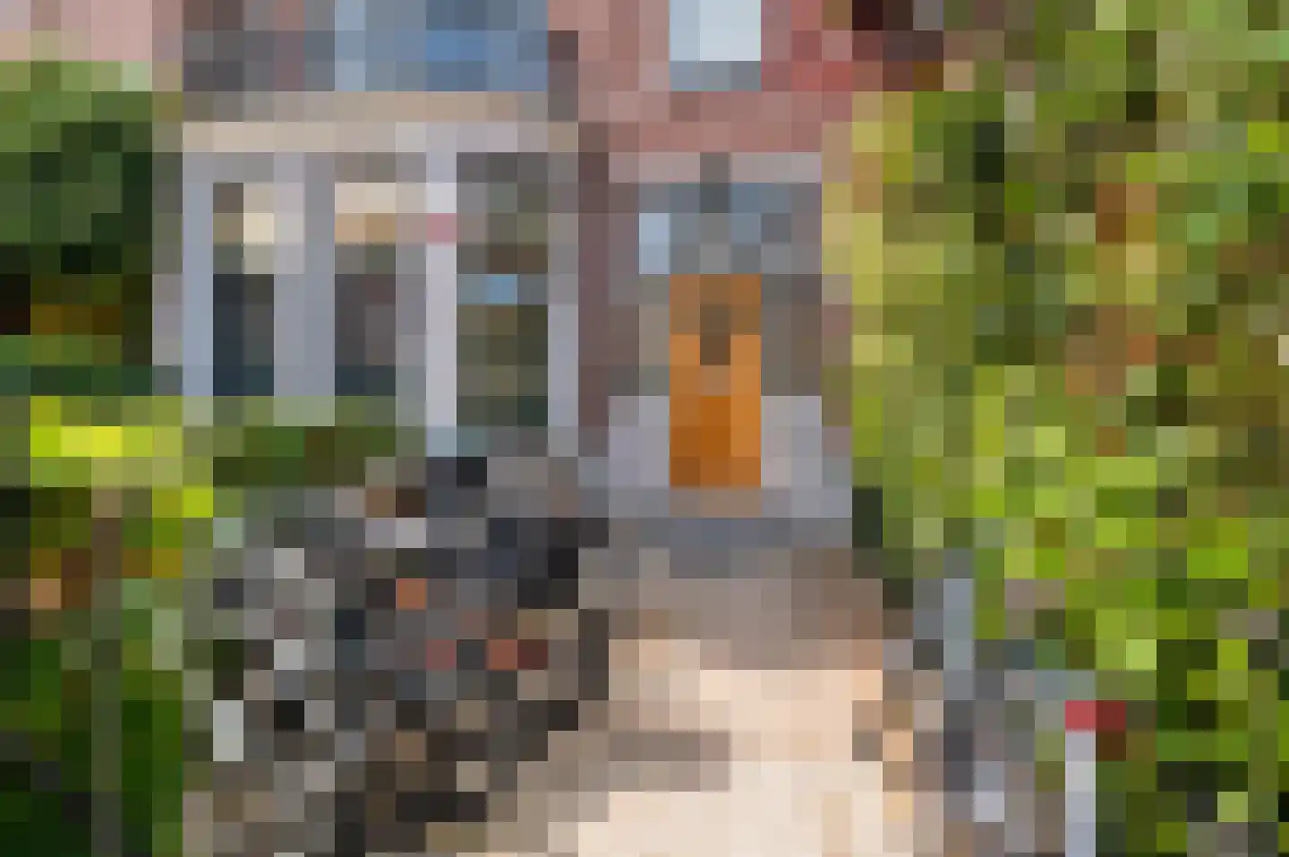 Rusthoekstraat 28 C Den Haag thumbnail 6
