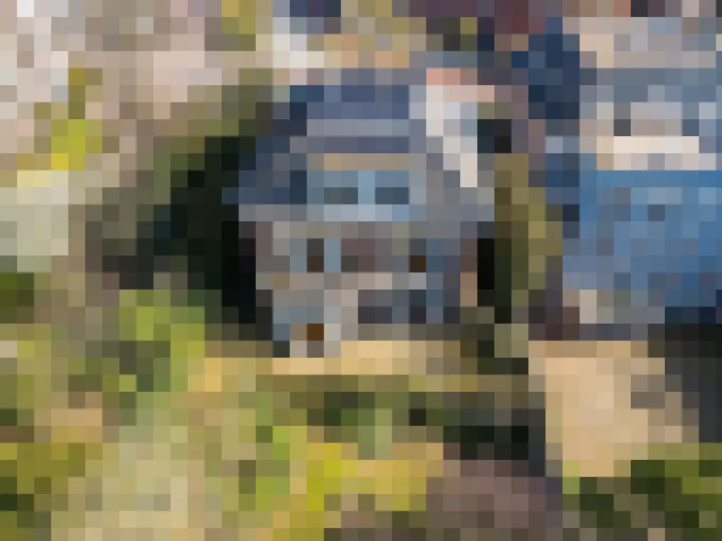 Rusthoekstraat 34 in Den Haag