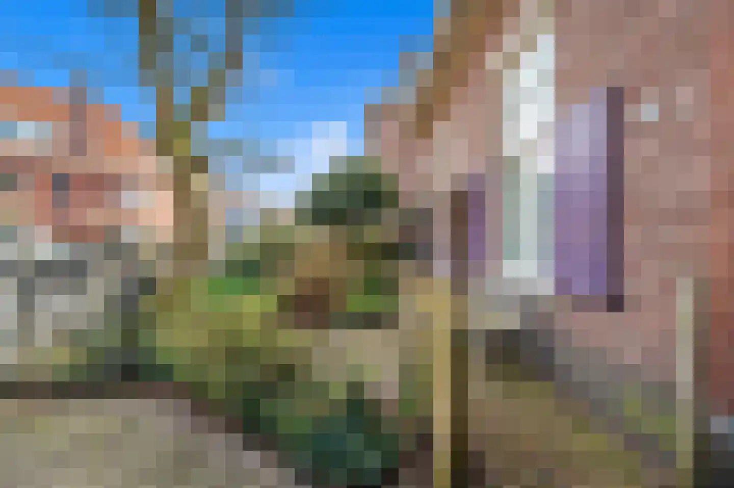 Rusthoekstraat 34 Den Haag thumbnail 9