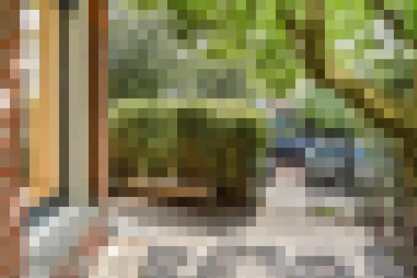 Rusthoekstraat 52 Den Haag thumbnail 6