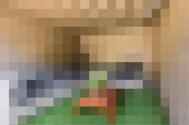Rusthofflaan 37 Sassenheim thumbnail 33