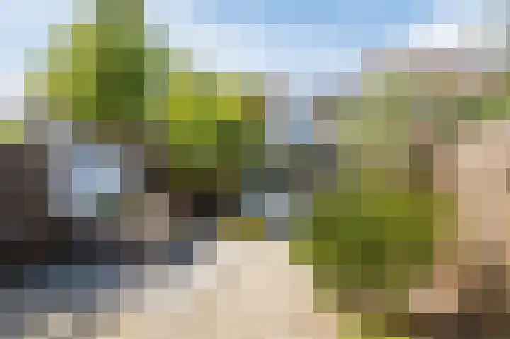 Rusthofflaan 37 Sassenheim thumbnail 37