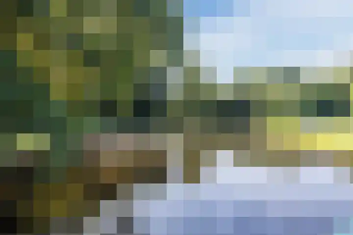 Rusthofflaan 37 Sassenheim thumbnail 43