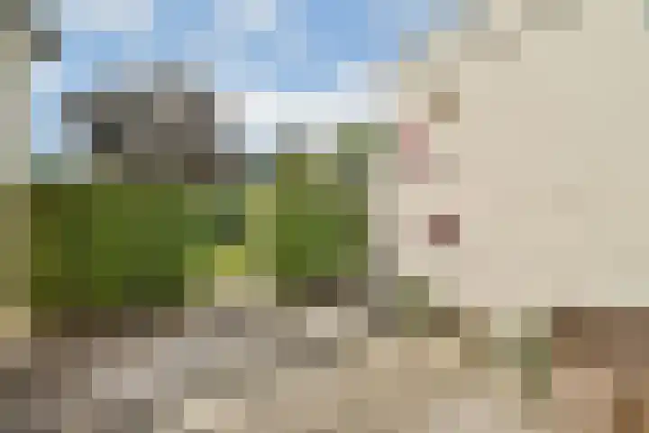 Rusthofflaan 63 Sassenheim thumbnail 13