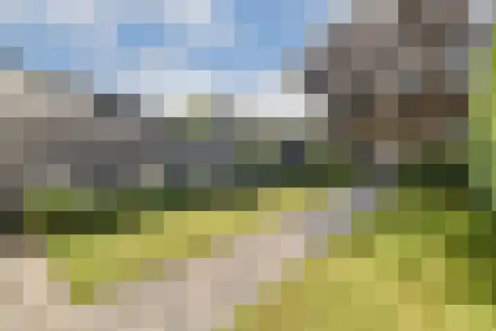 Rusthofflaan 63 Sassenheim thumbnail 14
