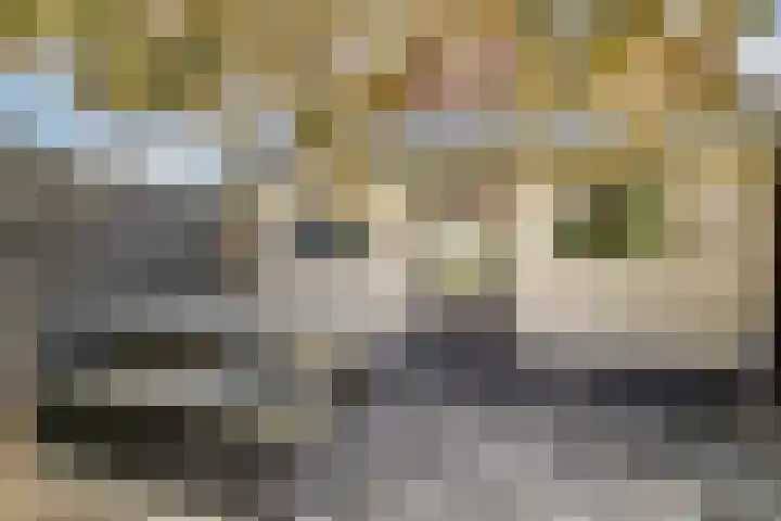 Rusthofflaan 63 Sassenheim thumbnail 15