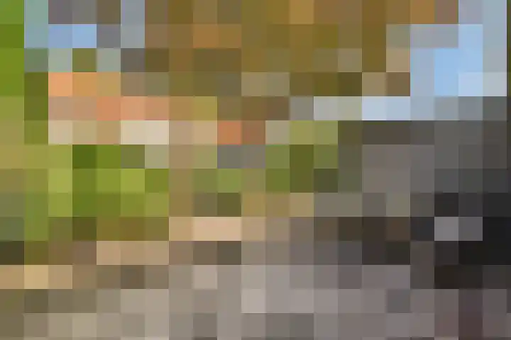 Rusthofflaan 63 Sassenheim thumbnail 16