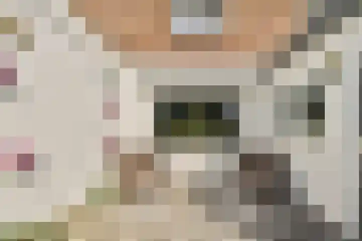 Rusthofflaan 63 Sassenheim thumbnail 18