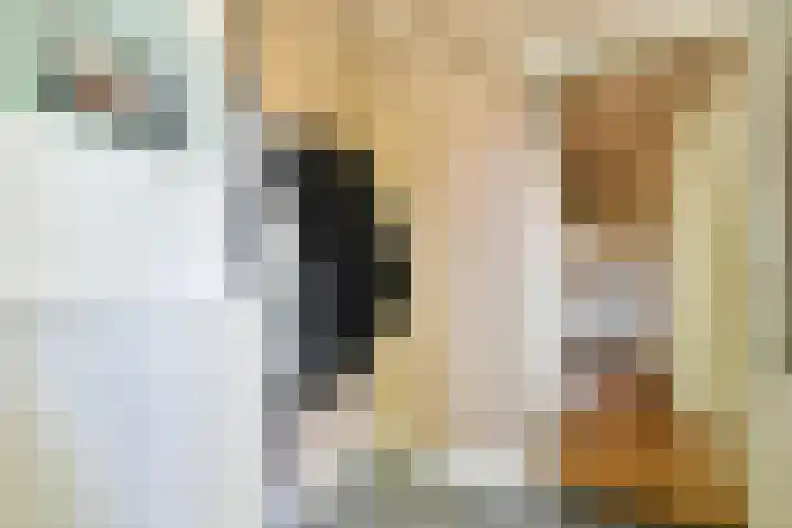 Rusthofflaan 63 Sassenheim thumbnail 4