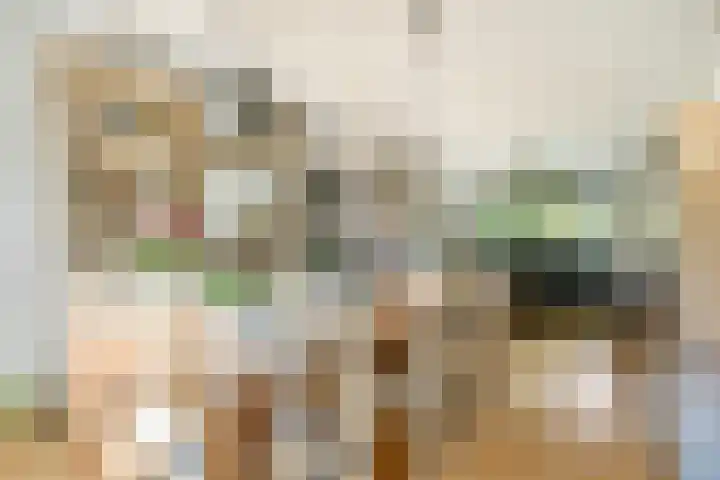 Rusthofflaan 63 Sassenheim thumbnail 6