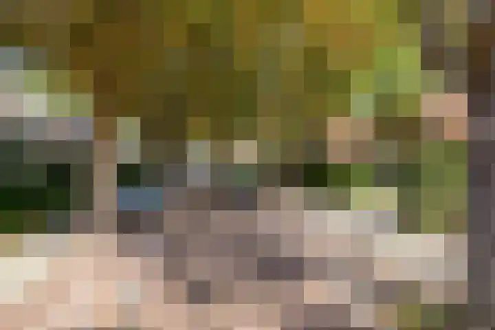 Rusthofflaan 9 Sassenheim thumbnail 10