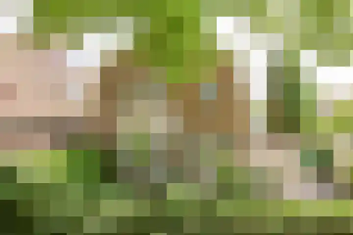 Rusthofflaan 9 Sassenheim thumbnail 11
