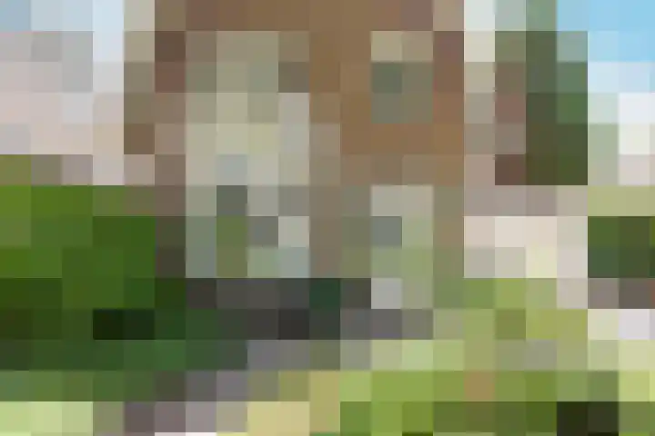 Rusthofflaan 9 Sassenheim thumbnail 12