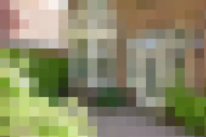 Rusthofflaan 9 Sassenheim thumbnail 13