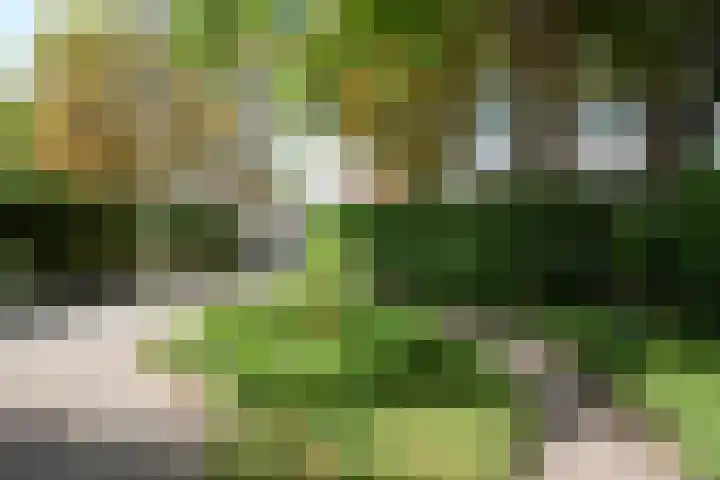 Rusthofflaan 9 Sassenheim thumbnail 16