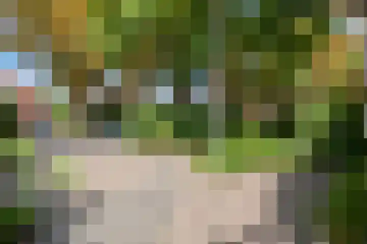 Rusthofflaan 9 Sassenheim thumbnail 17
