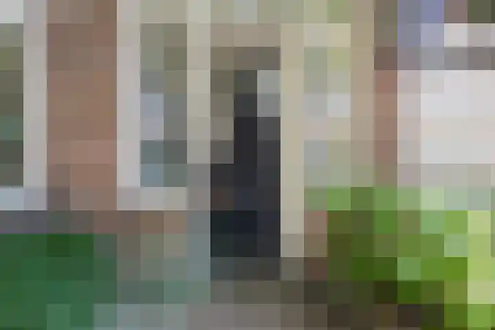 Rusthofflaan 9 Sassenheim thumbnail 18