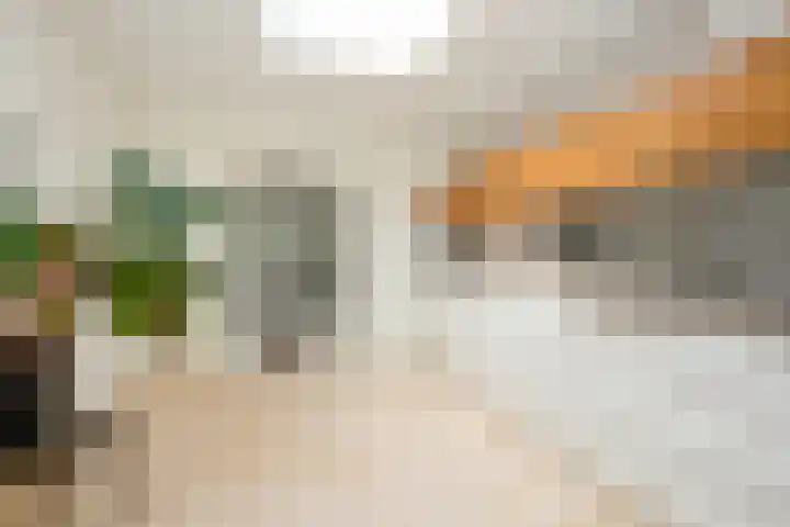 Rusthofflaan 9 Sassenheim thumbnail 30