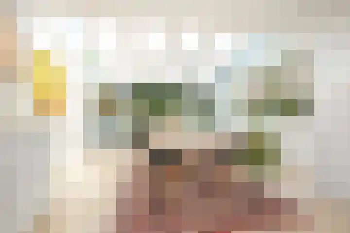 Rusthofflaan 9 Sassenheim thumbnail 33