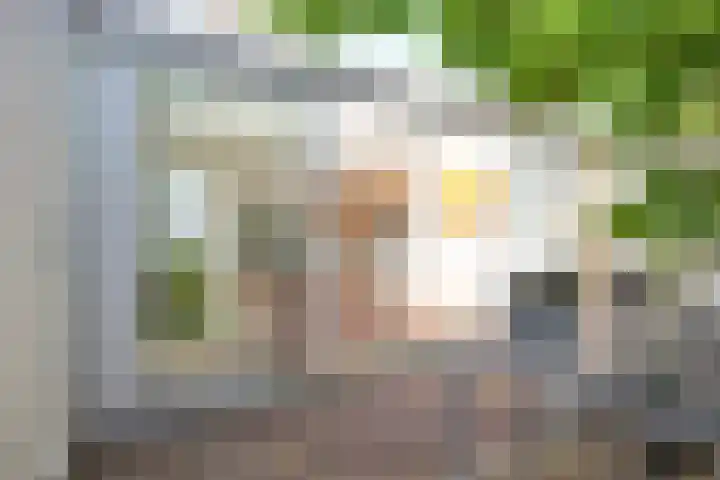Rusthofflaan 9 Sassenheim thumbnail 34