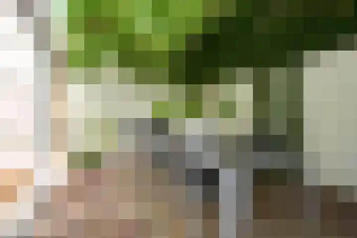 Rusthofflaan 9 Sassenheim thumbnail 35