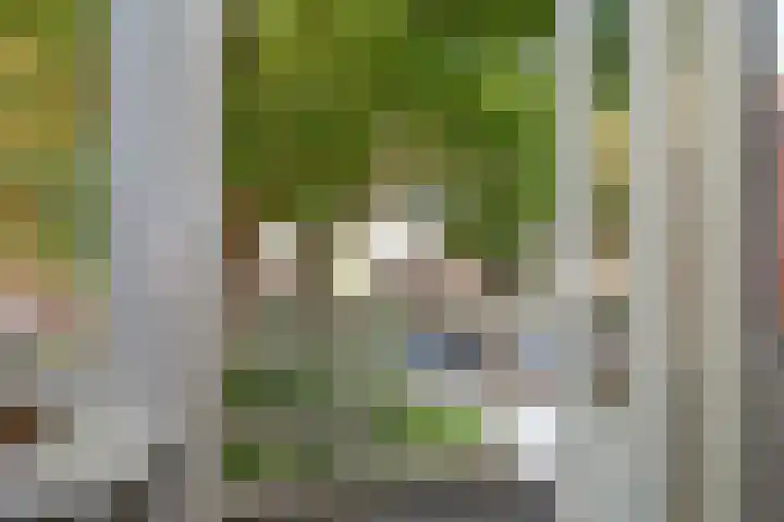 Rusthofflaan 9 Sassenheim thumbnail 42