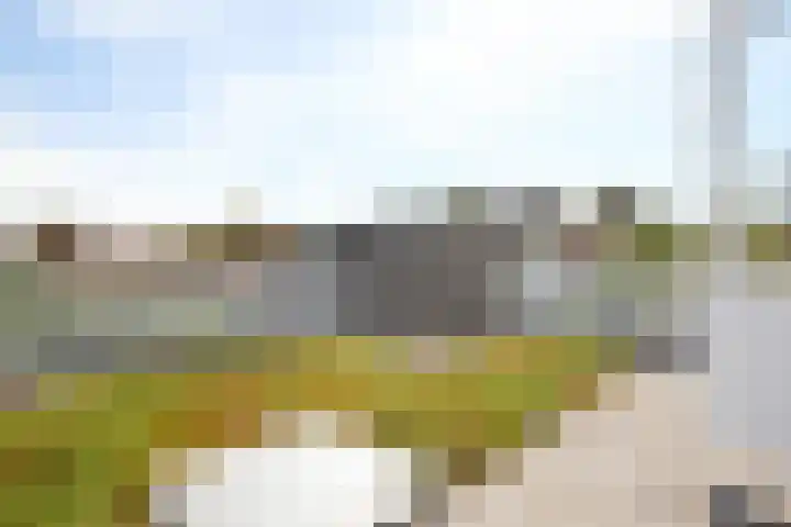 Rusthofflaan 9 Sassenheim thumbnail 52