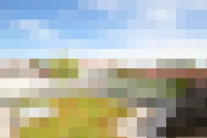 Rusthofflaan 9 Sassenheim thumbnail 54