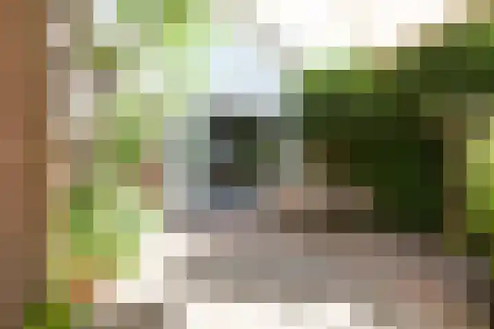 Rusthofflaan 9 Sassenheim thumbnail 6
