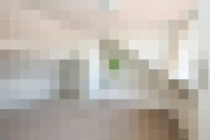 Rusthofflaan 9 Sassenheim thumbnail 61