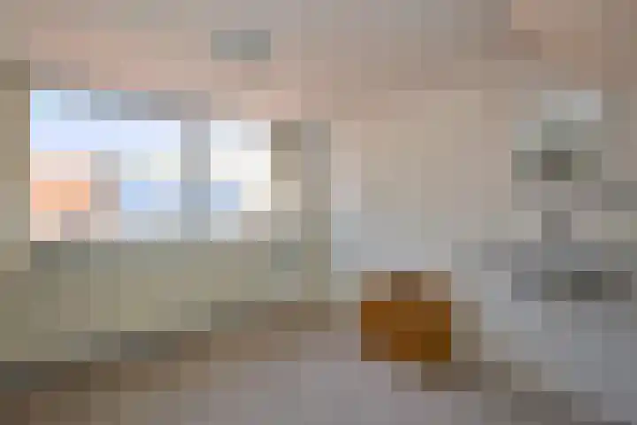 Rusthofflaan 9 Sassenheim thumbnail 62