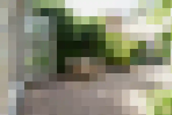Rusthofflaan 9 Sassenheim thumbnail 64