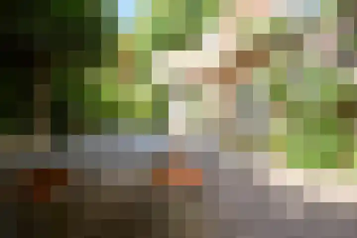 Rusthofflaan 9 Sassenheim thumbnail 66