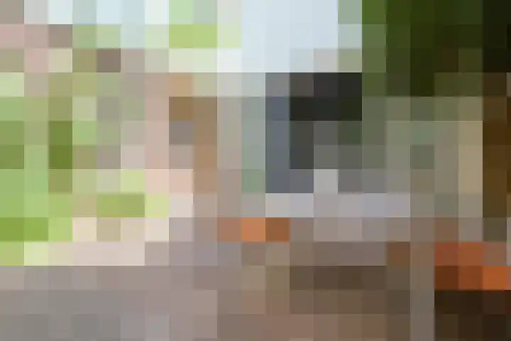 Rusthofflaan 9 Sassenheim thumbnail 68