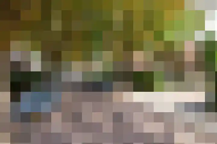 Rusthofflaan 9 Sassenheim thumbnail 7