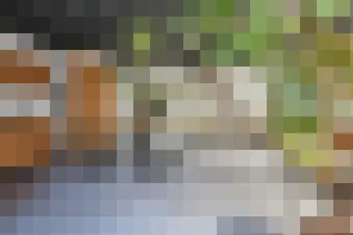 Rusthofflaan 9 Sassenheim thumbnail 70