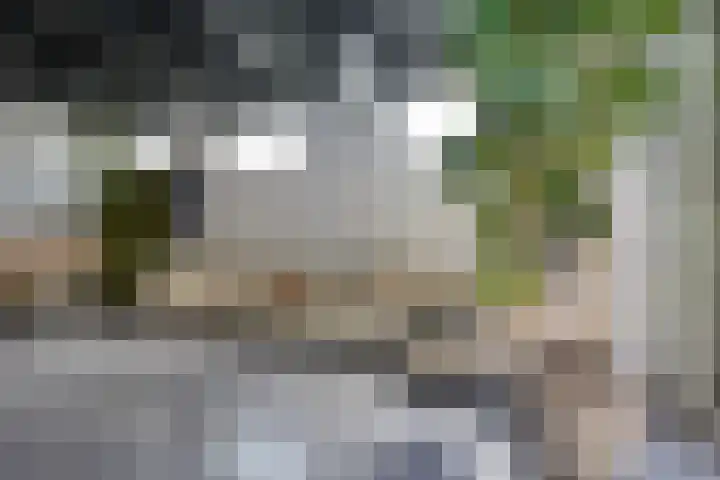 Rusthofflaan 9 Sassenheim thumbnail 73