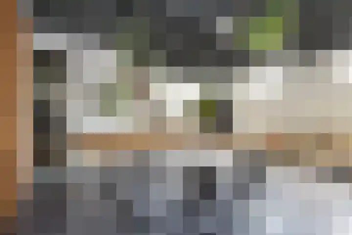 Rusthofflaan 9 Sassenheim thumbnail 77
