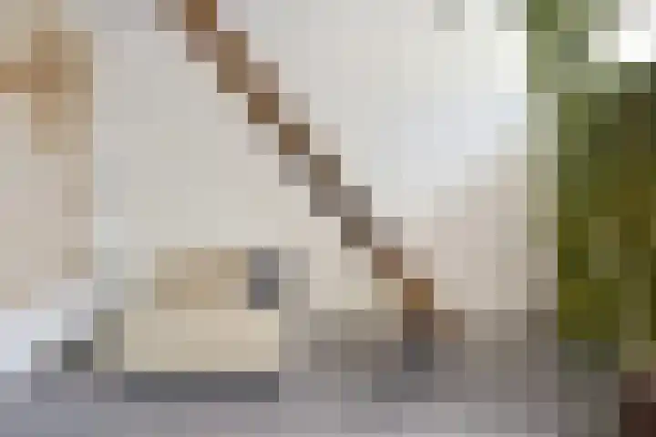 Rusthofflaan 9 Sassenheim thumbnail 79