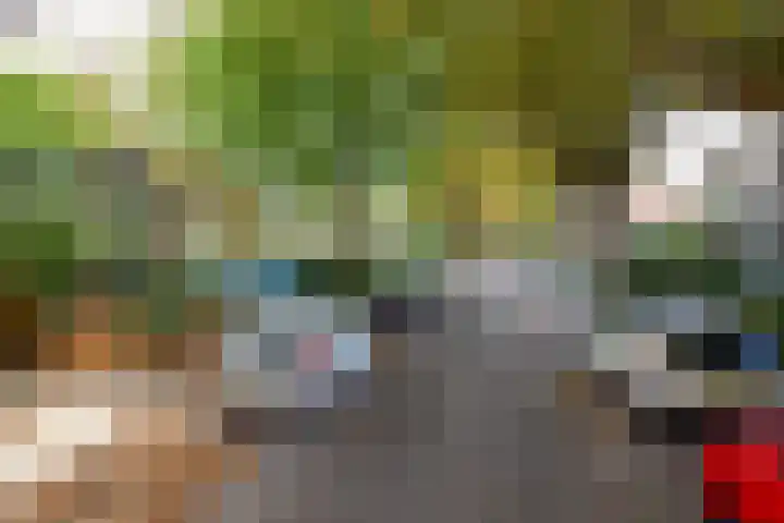 Rusthofflaan 9 Sassenheim thumbnail 8