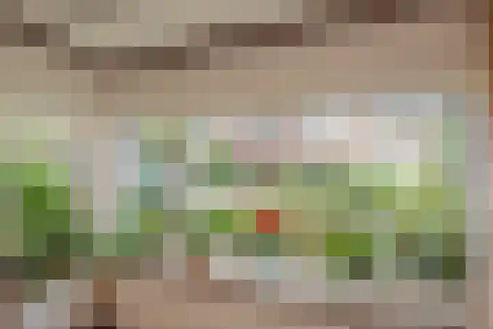 Rusthoflaan 24 Voorburg thumbnail 12