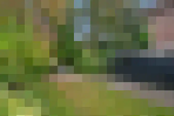 Rusthoflaan 24 Voorburg thumbnail 19