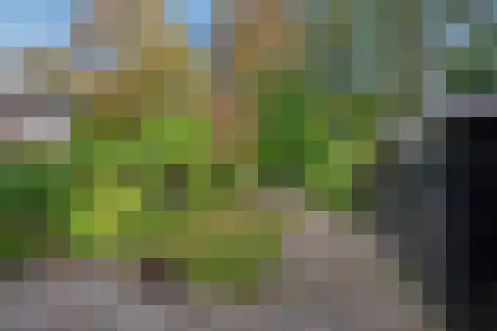Rusthoflaan 24 Voorburg thumbnail 24